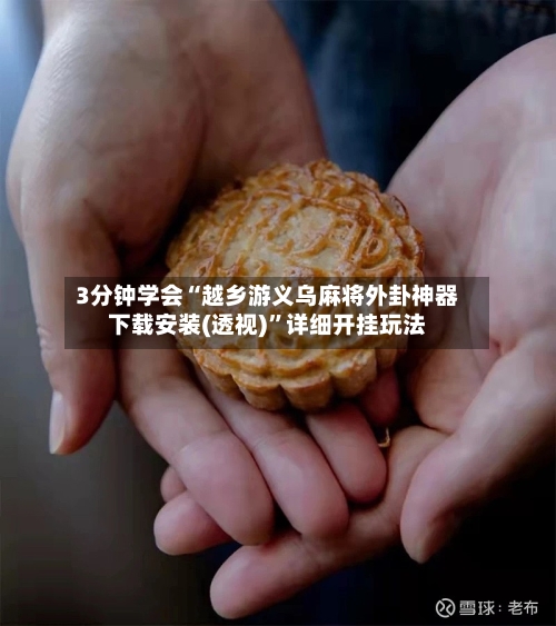 3分钟学会“越乡游义乌麻将外卦神器下载安装(透视)”详细开挂玩法-第2张图片