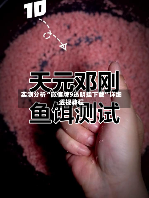 实测分析“微信牌9透明挂下载”详细透视教程-第1张图片
