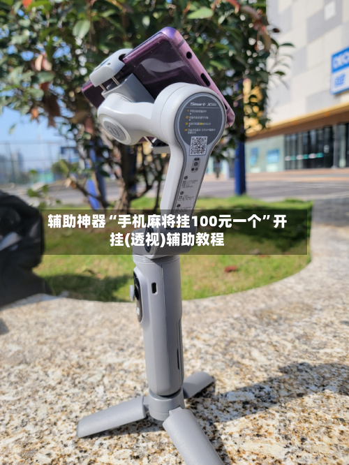 辅助神器“手机麻将挂100元一个	”开挂(透视)辅助教程-第1张图片