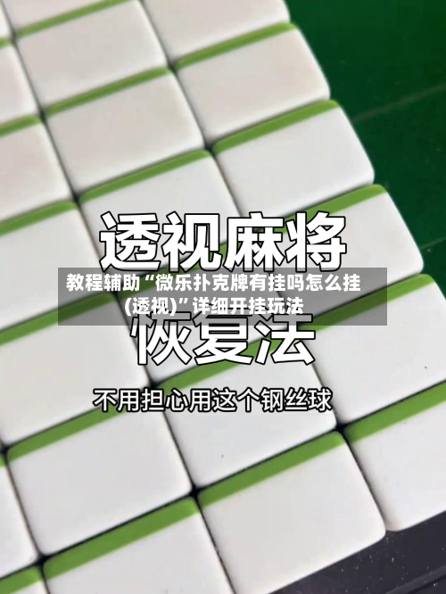 教程辅助“微乐扑克牌有挂吗怎么挂(透视)”详细开挂玩法-第2张图片