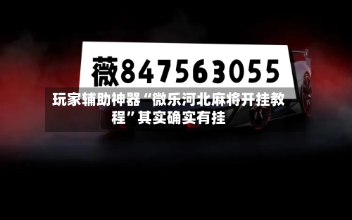 玩家辅助神器“微乐河北麻将开挂教程”其实确实有挂-第1张图片