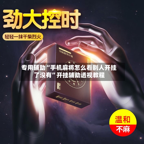 专用辅助“手机麻将怎么看别人开挂了没有”开挂辅助透视教程-第3张图片