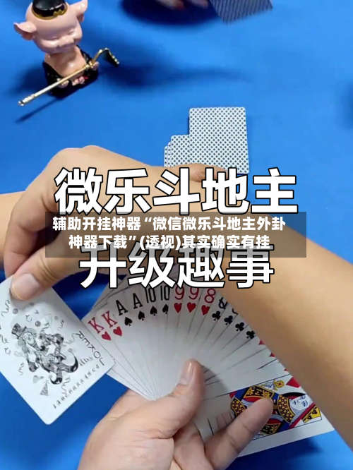 辅助开挂神器“微信微乐斗地主外卦神器下载”(透视)其实确实有挂-第1张图片