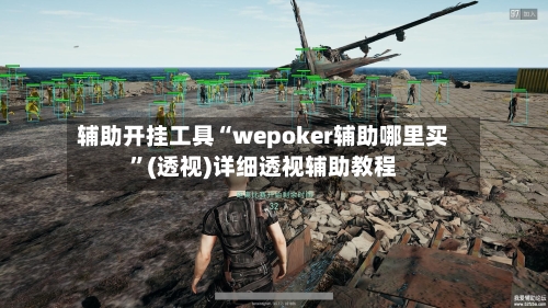 辅助开挂工具“wepoker辅助哪里买”(透视)详细透视辅助教程-第1张图片