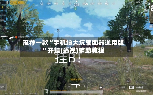 推荐一款“手机填大坑辅助器通用版”开挂(透视)辅助教程-第2张图片