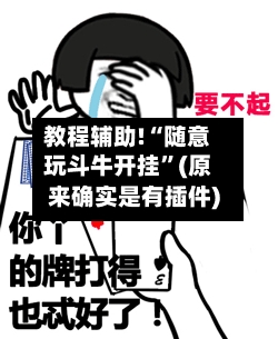 教程辅助!“随意玩斗牛开挂	”(原来确实是有插件)-第1张图片