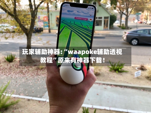 玩家辅助神器:“waapoke辅助透视教程”原来有神器下载！-第2张图片