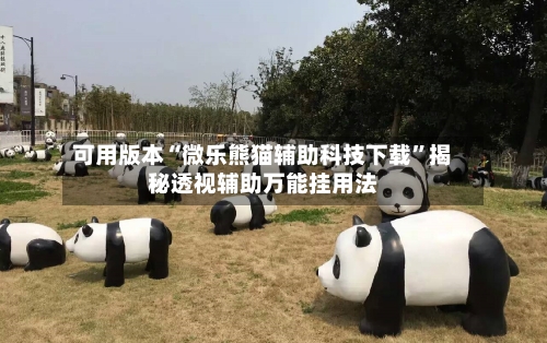 可用版本“微乐熊猫辅助科技下载”揭秘透视辅助万能挂用法-第3张图片
