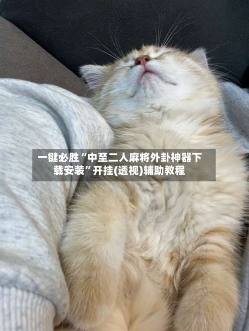 一键必胜“中至二人麻将外卦神器下载安装	”开挂(透视)辅助教程-第1张图片