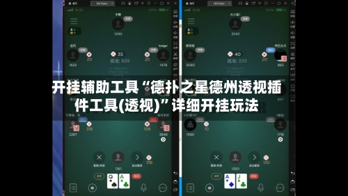 开挂辅助工具“德扑之星德州透视插件工具(透视)”详细开挂玩法-第2张图片