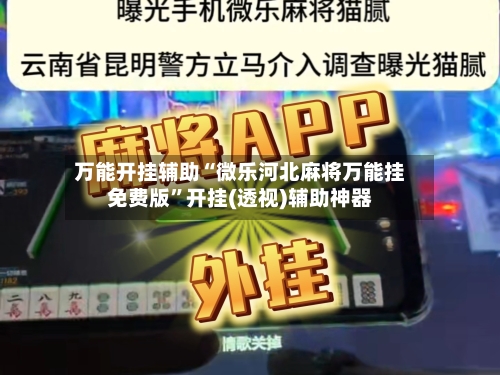 万能开挂辅助“微乐河北麻将万能挂免费版”开挂(透视)辅助神器-第3张图片