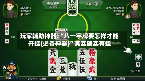 玩家辅助神器:“八一字牌要怎样才能开挂(必备神器)”其实确实有挂-第1张图片
