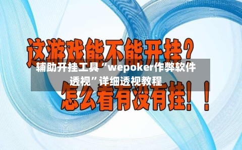 辅助开挂工具“wepoker作弊软件透视	”详细透视教程-第1张图片