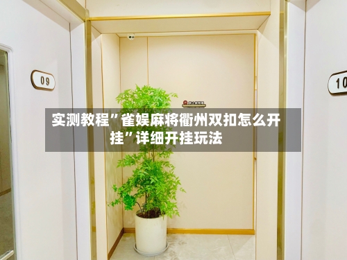实测教程”雀娱麻将衢州双扣怎么开挂”详细开挂玩法-第2张图片