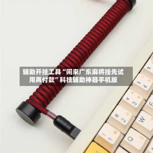 辅助开挂工具“闲来广东麻将挂先试用再付款”科技辅助神器手机版-第1张图片