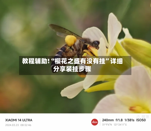 教程辅助!“樱花之盛有没有挂”详细分享装挂步骤-第1张图片