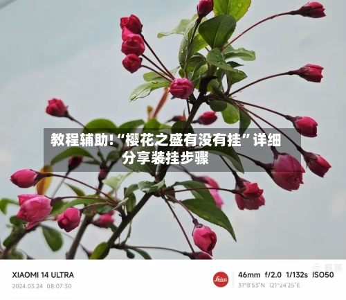 教程辅助!“樱花之盛有没有挂	”详细分享装挂步骤-第3张图片