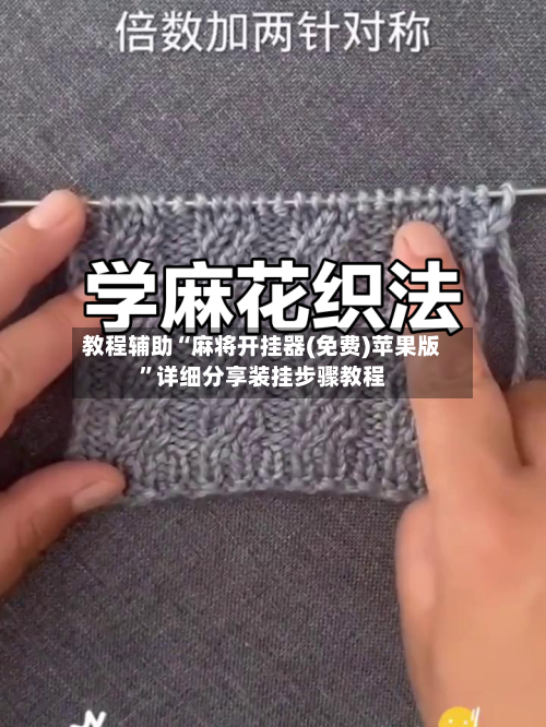 教程辅助“麻将开挂器(免费)苹果版”详细分享装挂步骤教程-第2张图片
