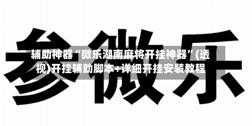 辅助神器“微乐湖南麻将开挂神器”(透视)开挂辅助脚本+详细开挂安装教程-第2张图片