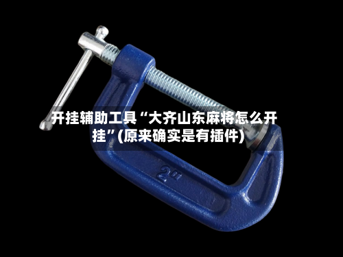 开挂辅助工具“大齐山东麻将怎么开挂”(原来确实是有插件)-第1张图片