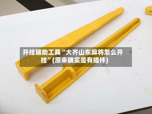 开挂辅助工具“大齐山东麻将怎么开挂	”(原来确实是有插件)-第2张图片
