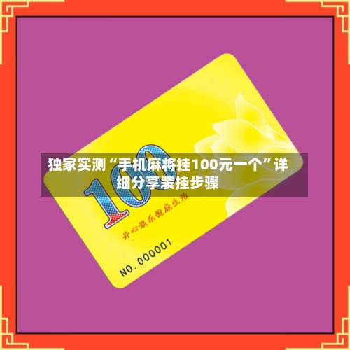 独家实测“手机麻将挂100元一个	”详细分享装挂步骤-第3张图片