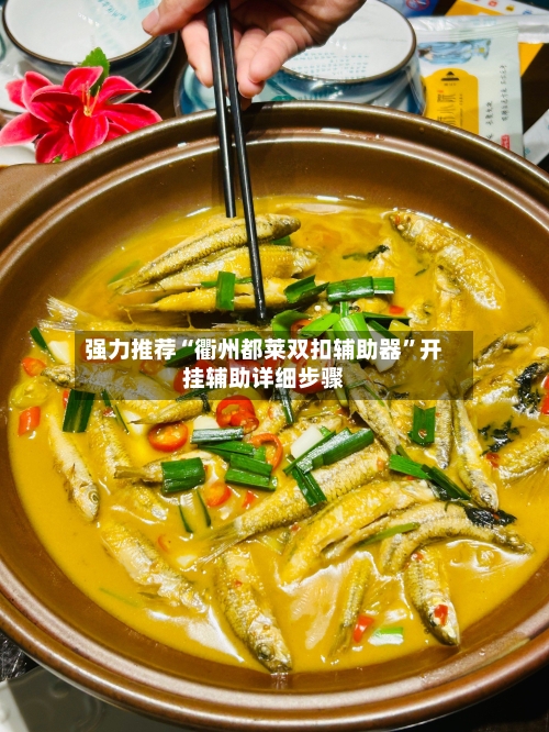 强力推荐“衢州都莱双扣辅助器”开挂辅助详细步骤-第3张图片