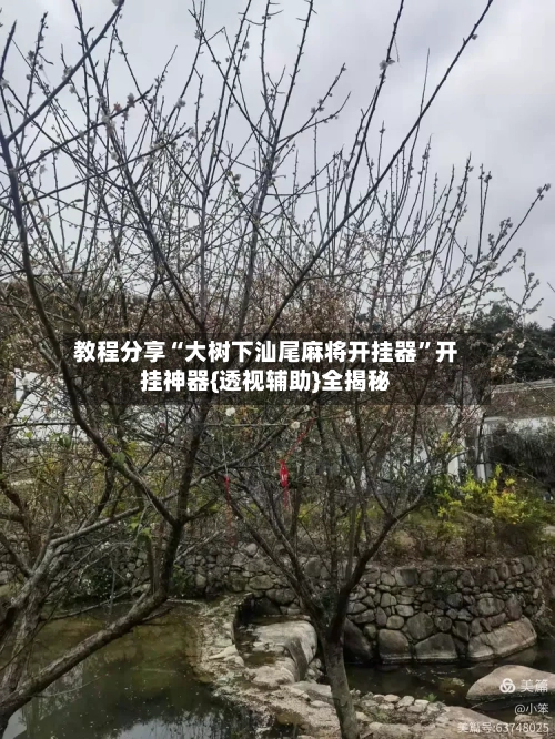 教程分享“大树下汕尾麻将开挂器”开挂神器{透视辅助}全揭秘-第3张图片
