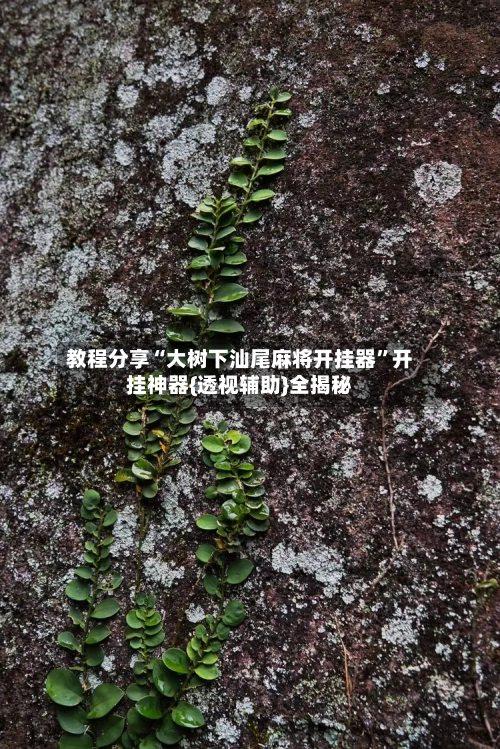 教程分享“大树下汕尾麻将开挂器	”开挂神器{透视辅助}全揭秘-第2张图片