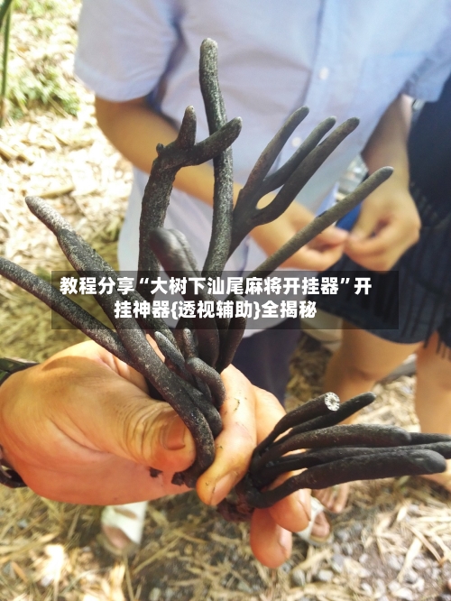 教程分享“大树下汕尾麻将开挂器”开挂神器{透视辅助}全揭秘-第1张图片