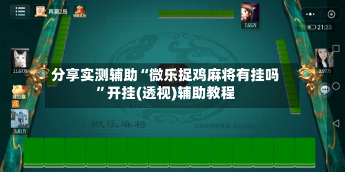 分享实测辅助“微乐捉鸡麻将有挂吗”开挂(透视)辅助教程-第3张图片