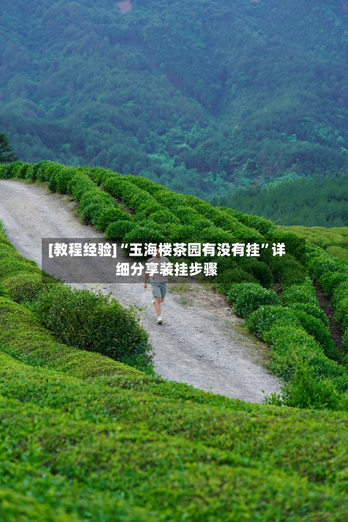 [教程经验]“玉海楼茶园有没有挂”详细分享装挂步骤-第2张图片