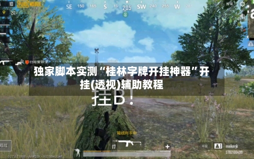 独家脚本实测“桂林字牌开挂神器	”开挂(透视)辅助教程-第1张图片