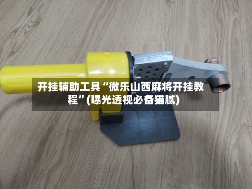 开挂辅助工具“微乐山西麻将开挂教程	”(曝光透视必备猫腻)-第3张图片