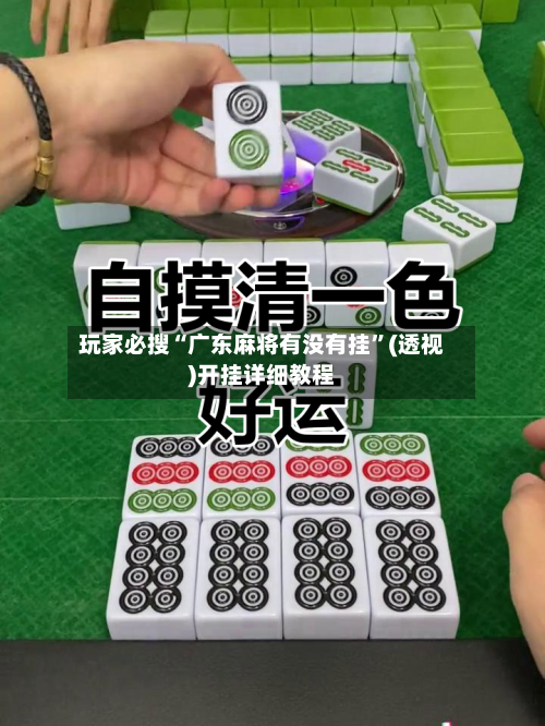 玩家必搜“广东麻将有没有挂”(透视)开挂详细教程-第1张图片