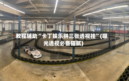 教程辅助“卡丁娱乐拼三张透视挂”(曝光透视必备猫腻)-第3张图片
