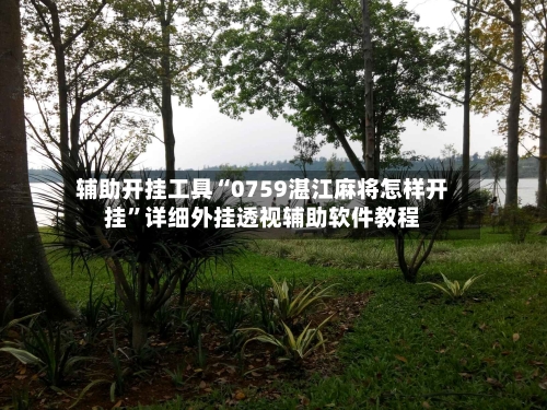 辅助开挂工具“0759湛江麻将怎样开挂”详细外挂透视辅助软件教程-第2张图片