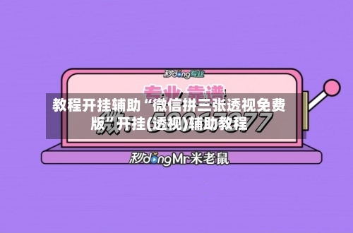 教程开挂辅助“微信拼三张透视免费版”开挂(透视)辅助教程-第3张图片