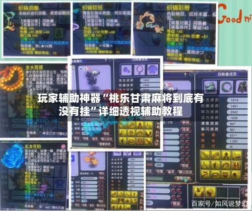 玩家辅助神器“桃乐甘肃麻将到底有没有挂”详细透视辅助教程-第1张图片
