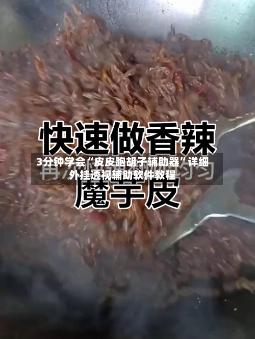 3分钟学会“皮皮跑胡子辅助器”详细外挂透视辅助软件教程-第1张图片