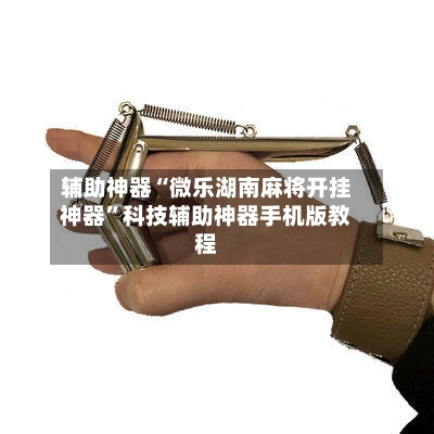 辅助神器“微乐湖南麻将开挂神器”科技辅助神器手机版教程-第3张图片