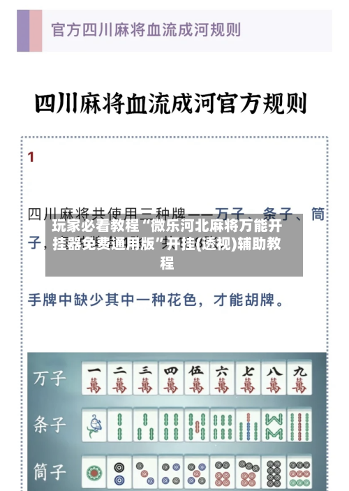 玩家必看教程“微乐河北麻将万能开挂器免费通用版”开挂(透视)辅助教程-第3张图片