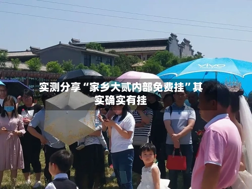 实测分享“家乡大贰内部免费挂”其实确实有挂-第1张图片