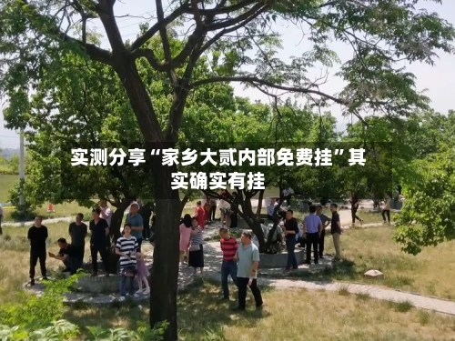 实测分享“家乡大贰内部免费挂”其实确实有挂-第3张图片