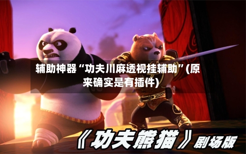辅助神器“功夫川麻透视挂辅助”(原来确实是有插件)-第2张图片