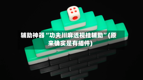 辅助神器“功夫川麻透视挂辅助”(原来确实是有插件)-第3张图片