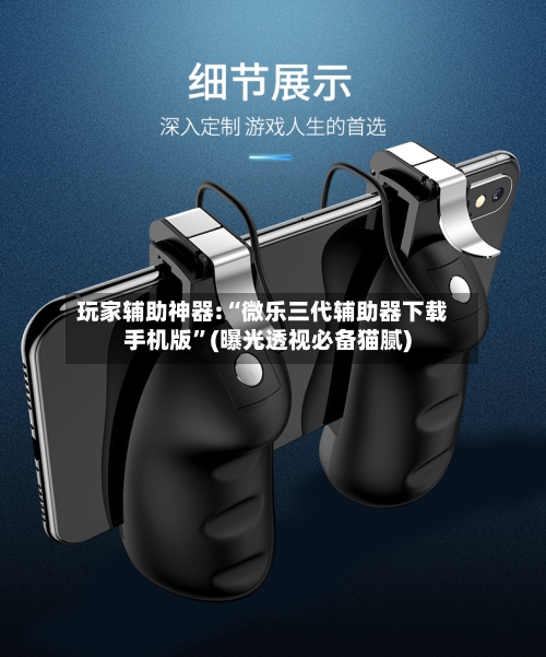 玩家辅助神器:“微乐三代辅助器下载手机版”(曝光透视必备猫腻)-第1张图片