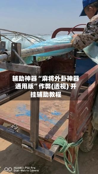 辅助神器“麻将外卦神器通用版	”作弊(透视) 开挂辅助教程-第3张图片