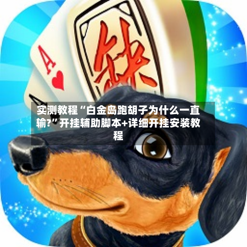 实测教程“白金岛跑胡子为什么一直输?”开挂辅助脚本+详细开挂安装教程-第2张图片