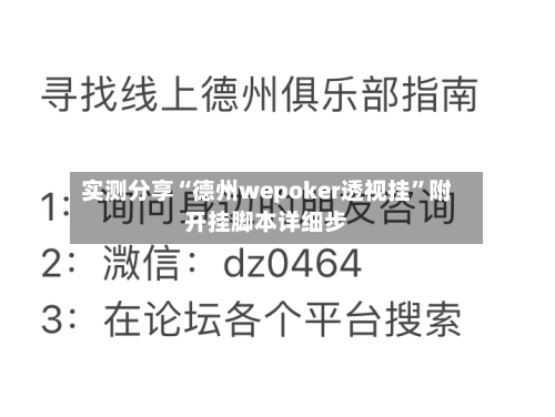实测分享“德州wepoker透视挂”附开挂脚本详细步-第2张图片